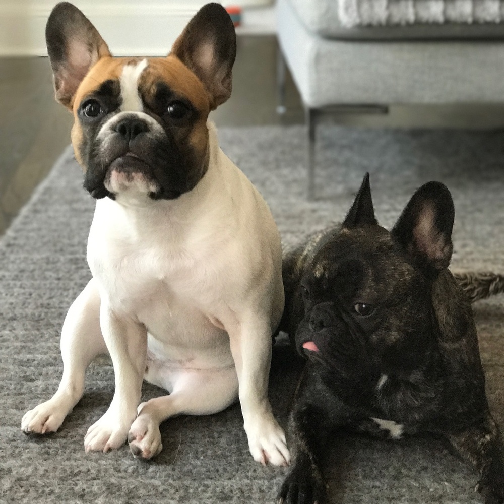 Meet your Posher, CS